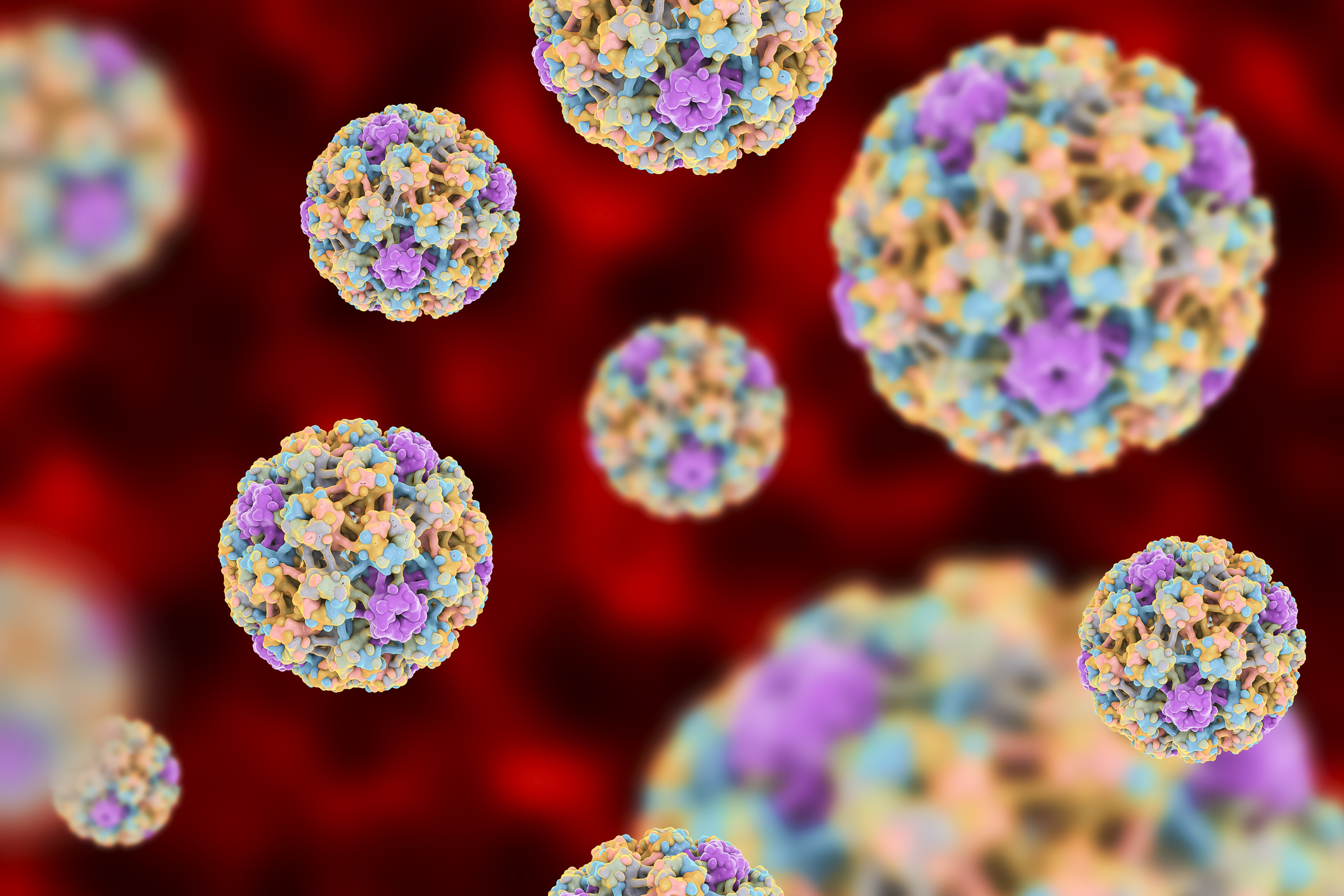 Il papilloma virus si trasmette anche per via orale Fondazione