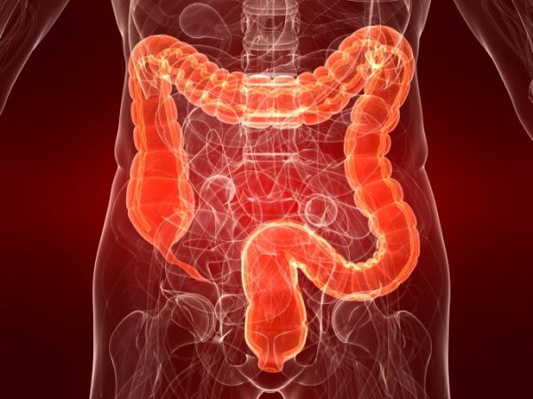 Alternativa Al Lavaggio Intestinale Pre Colonscopia Fondazione Umberto Veronesi