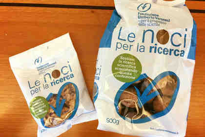 La Fondazione Veronesi in piazza con «Le Noci per la Ricerca»