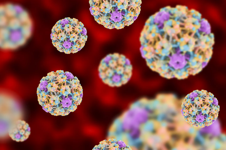 Modalita di trasmissione del papilloma virus