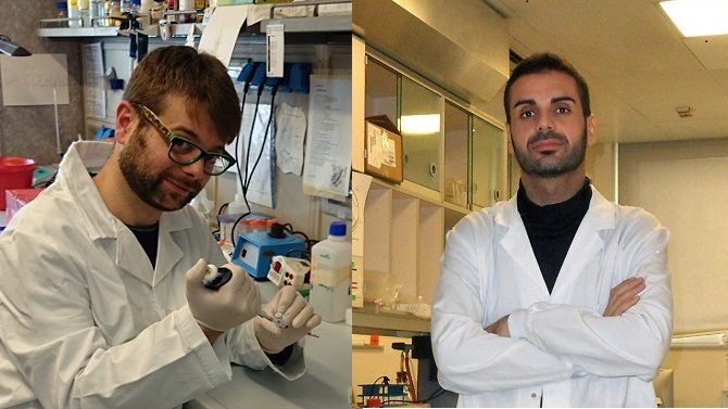 Da Vibo Valentia i fondi per due ricercatori impegnati all'estero