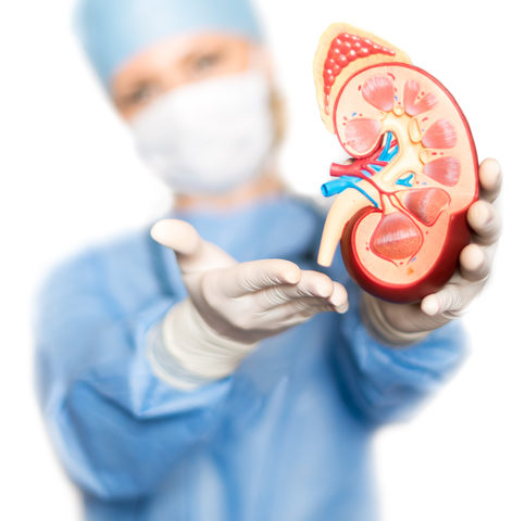 Donare organi da vivente, quali vantaggi?