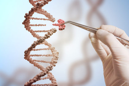 Ogm, Crispr e genome editing: le parole e le pietre