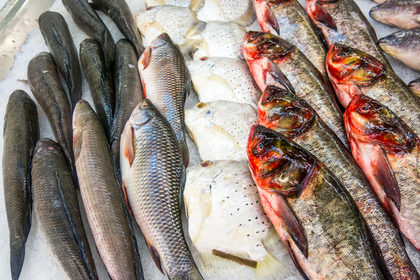 Come riconoscere il pesce fresco da quello congelato?