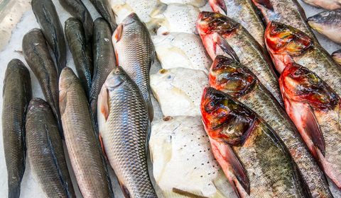 Come riconoscere il pesce fresco da quello congelato?