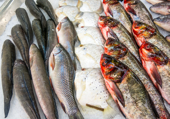 Ecco come riconoscere il pesce fresco da quello congelato