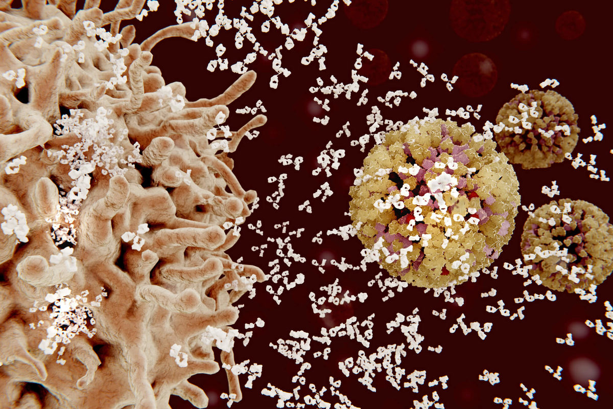 Infectia cu HPV din perspectiva dermatologului