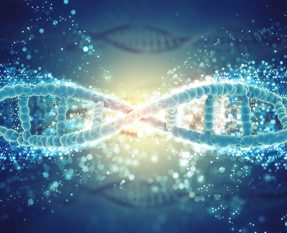 Cosa significa avere mutazioni nei geni Brca 1/2?