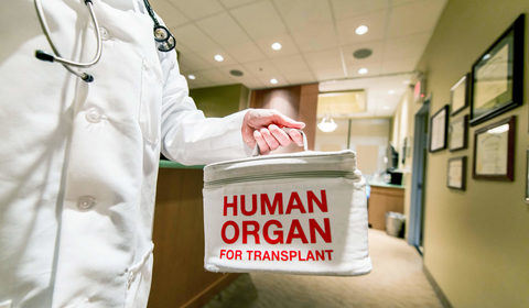 In cosa consiste la donazione di organi da vivente?