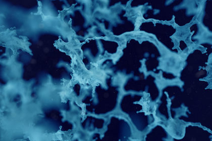 Le cellule staminali nelle malattie neurologiche