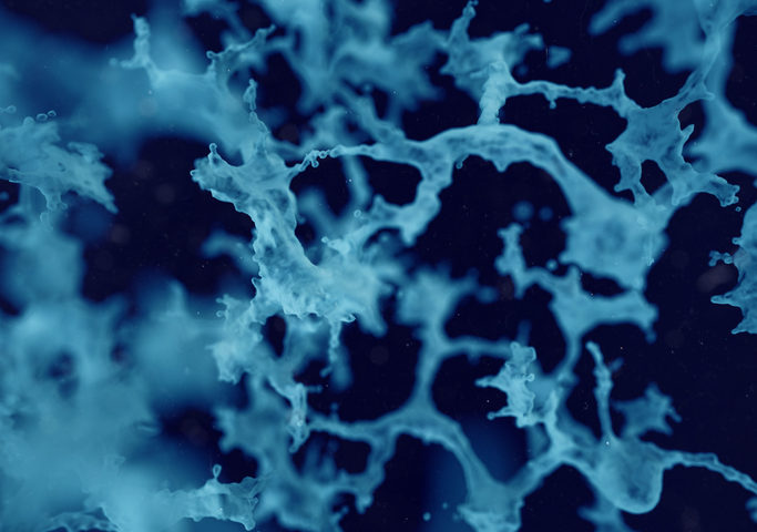 Le cellule staminali nelle malattie neurologiche