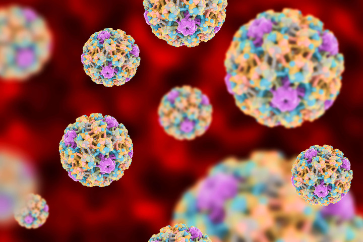 human papillomavirus vaccine ppt cea mai bună pastilă a viermei rotunde