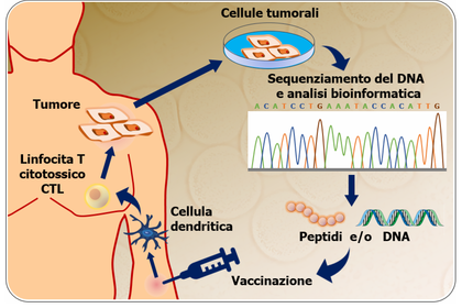 Vaccini Personalizzati Contro Il Cancro