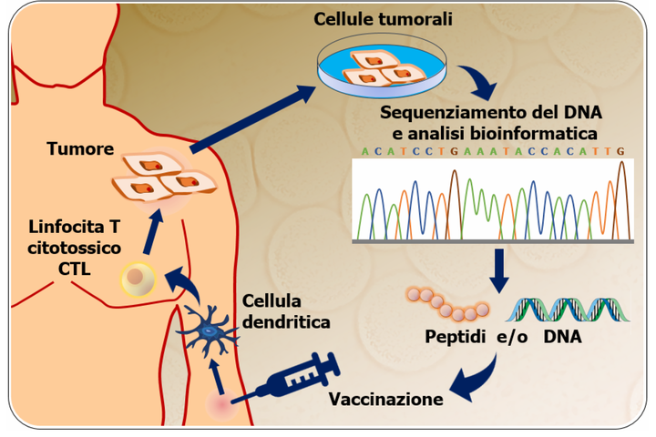 Vaccini Personalizzati Contro Il Cancro