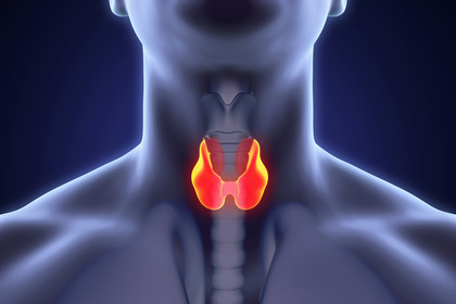 Tumore della tiroide: no all'intervento in 8 casi su 10