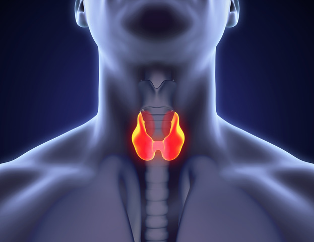 Tumore della tiroide: no all'intervento in 8 casi su 10