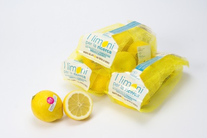 Tornano i Limoni per la Ricerca: dal 4 al 22 aprile