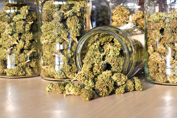 Cannabis light: il Consiglio Superiore di Sanità boccia la vendita