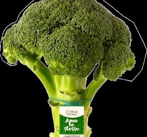 Un broccolo per la salute maschile: anche così Citrus sostiene la ricerca