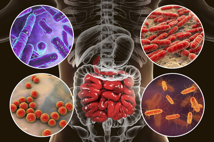 Dai probiotici un'opportunità per ridurre l'uso di antibiotici?