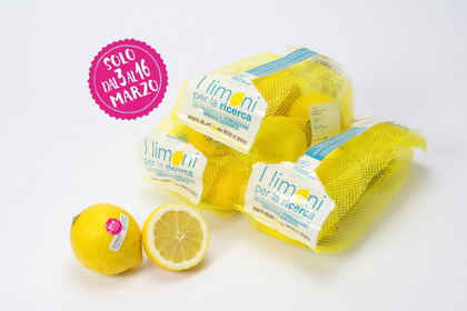 Tornano «I Limoni per la Ricerca» per dare scacco matto ai tumori