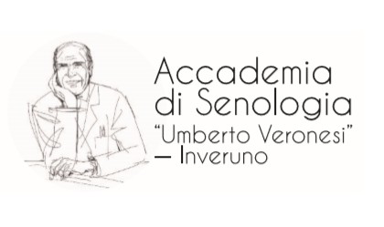 Atelier di medicina all'Accademia di Senologia Veronesi
