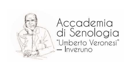 Atelier di medicina all'Accademia di Senologia Veronesi