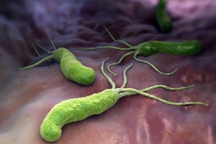 Helicobacter pylori: c'è un'alternativa agli antibiotici?
