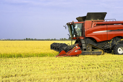 L’agricoltura italiana deve pensare in grande