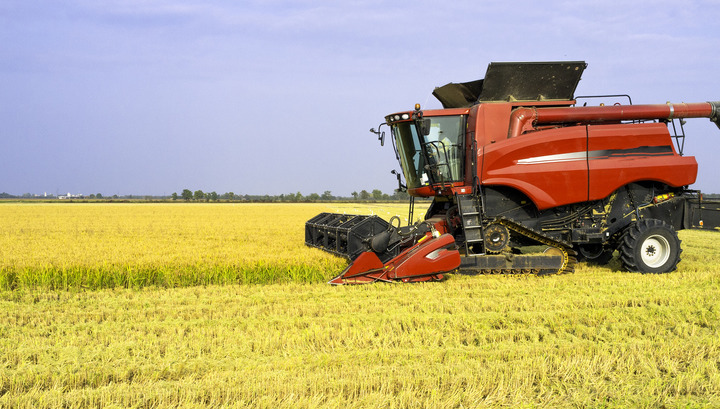 L’agricoltura italiana deve pensare in grande