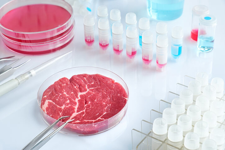 Carne, il futuro in vitro è più sostenibile? | Fondazione Umberto Veronesi
