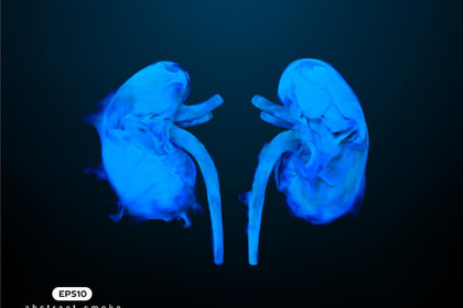 Il fumo può influire sulla salute dei reni?