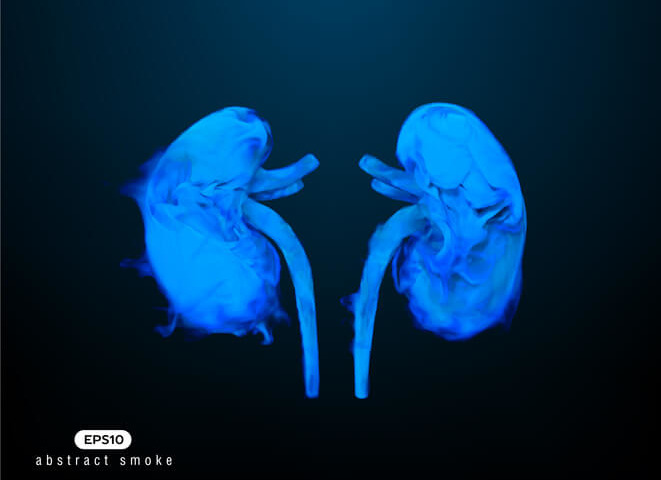 Il fumo può influire sulla salute dei reni?