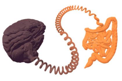 Il Parkinson nasce nell’intestino? 