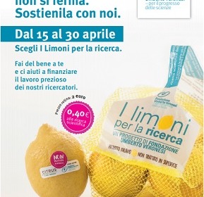 Da «I Limoni per la Ricerca» un aiuto per la ricerca sul cancro