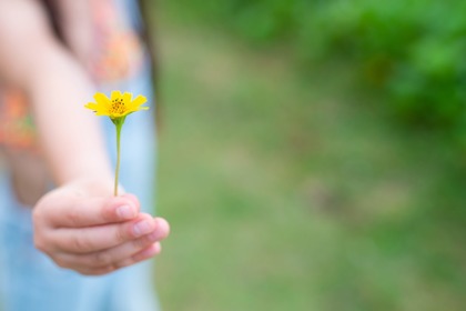 Dal catalogo Bennet 23.000 euro alla ricerca sui tumori pediatrici