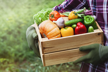 La qualità della dieta non (sempre) migliora con i cibi biologici