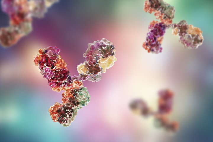 Covid-19: anticorpi come profilassi e cura. Aspettando il vaccino