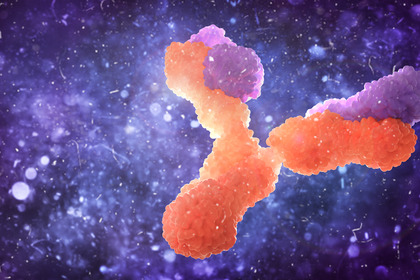 Covid-19 e anticorpi: cosa sappiamo sull'immunità?