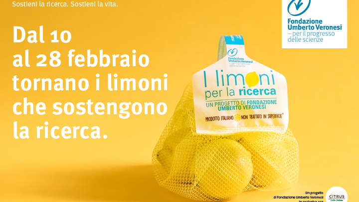 Tornano i limoni per sostenere la ricerca sul cancro