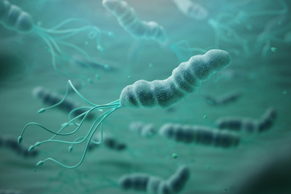 L’Helicobacter pylori è una fattore di rischio per il tumore allo stomaco?