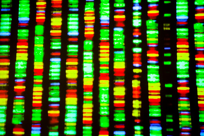 Variante Omicron: tutto ciò che conosciamo dati alla mano