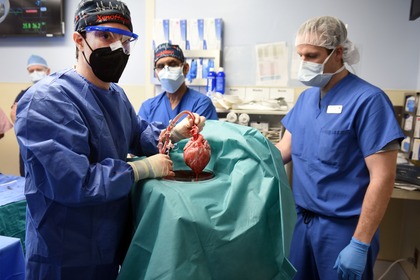 Trapiantato con successo da maiale a uomo il primo cuore anti rigetto