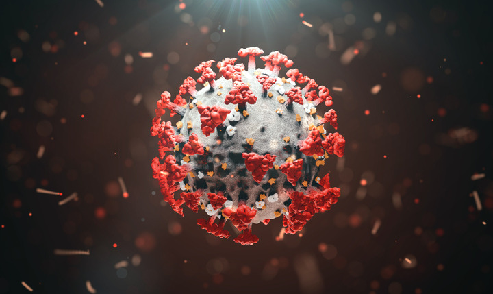 MBL: un "antenato" degli anticorpi che protegge contro Covid-19