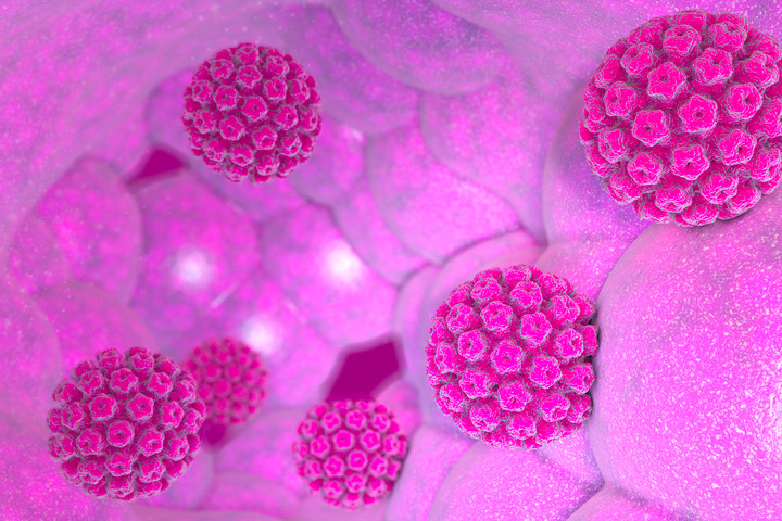 HPV: una storia da Nobel