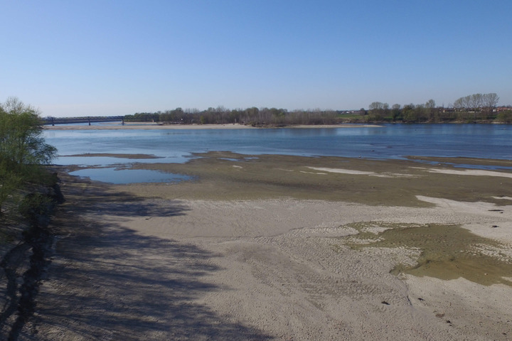 L'impatto devastante della siccità sull'ambiente e sulla salute