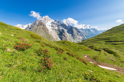 Al via a Courmayeur la nuova iniziativa di Fondazione Veronesi dedicata alla salute maschile 