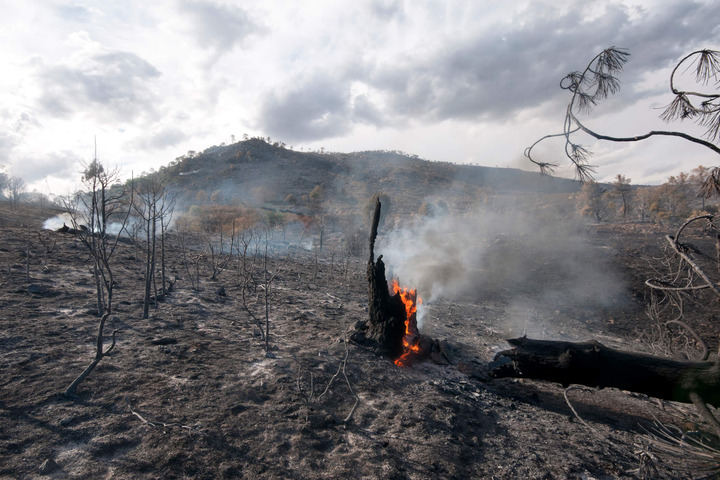 Così gli incendi possono danneggiare la salute dei malati di tumore