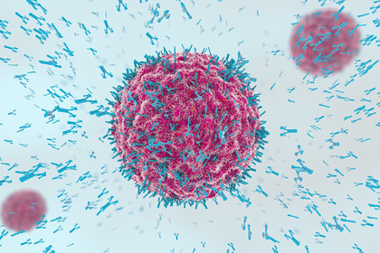 Anticorpi coniugati: una rivoluzione tecnologica contro il cancro