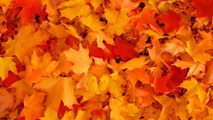 A Teramo Special Event autunnale per aiutare la ricerca
